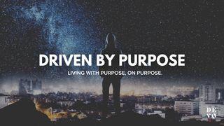 Driven by Purpose John 10:10 The Passion Translation