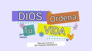 Dios Ordena Tu Vida Colosenses 3:14 Nueva Versión Internacional - Español