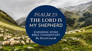 Psalm 23: The Lord Is My Shepherd Ezekiel 34:15-16 New International Version