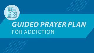 Prayer Challenge: For Those Struggling With Addiction Hosea 14:9 Amplified Bible