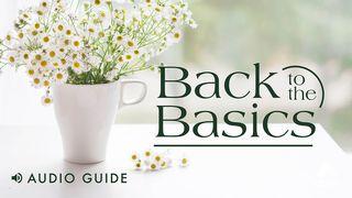 Back to the Basics Luke 11:1 English Standard Version 2016