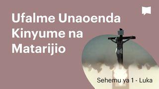 BibleProject | Ufalme Unaoenda Kinyume na Matarijio / Sehemu ya 1 - Luka Isaya 40:5-7 Biblia Habari Njema