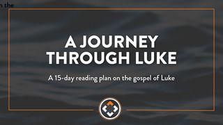 A Journey Through Luke Zechariah 9:9 New Living Translation