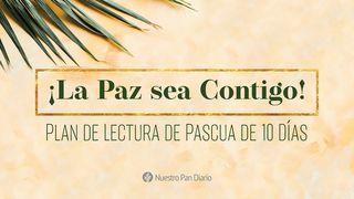 ¡La Paz Sea Contigo! Isaías 2:4 Nueva Biblia Viva