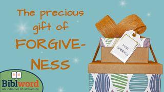 The Precious Gift of Forgiveness Hebrews 9:28 New International Version