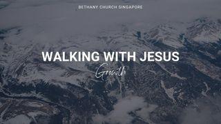 Walking With Jesus (Growth) John 6:48-50 New International Version