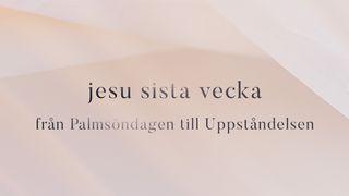 Jesu Sista Vecka Lukasevangeliet 23:43 Svenska Folkbibeln