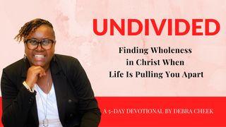 Undivided: Finding Wholeness in Christ When Life Is Pulling You Apart Psalm 86:11-12 King James Version