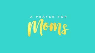Prayer for Moms Matthew 18:5 New Living Translation