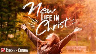New Life In Christ Matthew 4:17 New American Standard Bible - NASB 1995