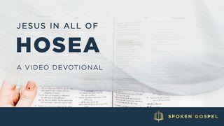 Jesus in All of Hosea - a Video Devotional Psalms 119:41-48 New International Version