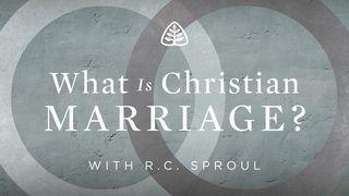 What Is Christian Marriage? HOOGLIED 4:7 Nuwe Lewende Vertaling