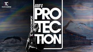 God's Protection  Psalms 3:3 New Century Version