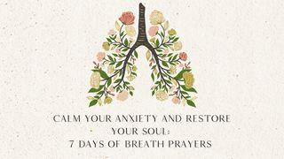Calm Your Anxiety and Restore Your Soul: 7 Days of Breath Prayers Salmi 107:29 Nuova Riveduta 2006