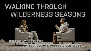 Walking Through Wilderness Seasons: 3-Day Reading Plan by Levi Lusko and Brooke Ligertwood Apocalisse di Giovanni 2:11 Nuova Riveduta 2006