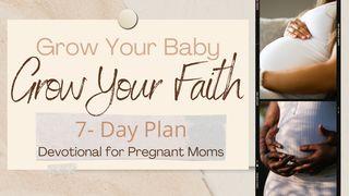 Grow Your Baby, Grow Your Faith Isaiah 40:11 Amplified Bible