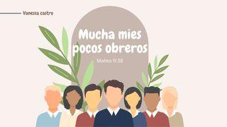 Mucha Mies Pocos Obreros MATEO 28:20 La Palabra (versión española)
