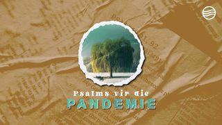 Psalms Vir Die Pandemie PSALMS 103:12 Afrikaans 1983