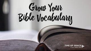 Grow Your Vocabulary: Devotions From Time Of Grace Hebrews 1:1-3 New Living Translation
