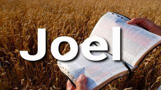 Joel en 10 Versículos Joel 2:28 Biblia Reina Valera 1960