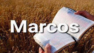Marcos en 10 Versículos Marcos 1:14-15 Nueva Biblia Viva