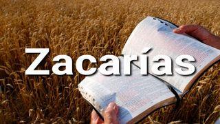 Zacarías en 10 Versículos Zacarías 12:10 Nueva Biblia Viva