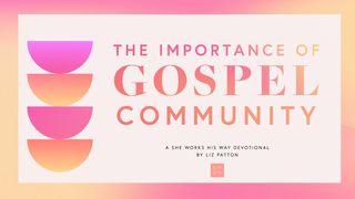 The Importance of Gospel Community Vangelo secondo Matteo 18:20 Nuova Riveduta 2006