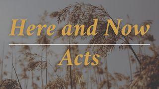 Here and Now Acts 17:16 Amplified Bible, Classic Edition