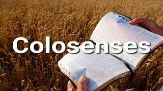 Colosenses en 10 Versículos Colosenses 1:15-20 Nueva Versión Internacional - Español