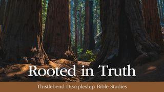 Rooted in Truth: A Devotion in the Ten Commandments Deuteronomy 5:16 King James Version