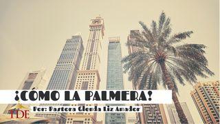 ¡Cómo La Palmera! 2 Corintios 6:18 Nueva Versión Internacional - Español