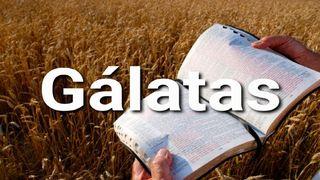 Gálatas en 10 Versículos Gálatas 3:29 Nueva Biblia Viva