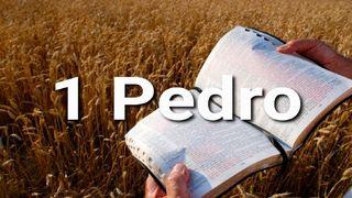 1 Pedro en 10 Versículos  1 Pedro 2:19-25 Biblia Reina Valera 1960