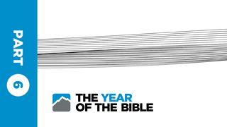 Year of the Bible: Part Six of Twelve  2 Samuel 6:16 King James Version