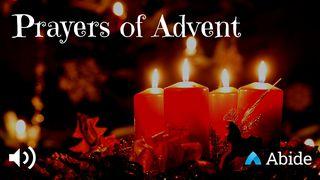25 Prayers For Advent Psalms 50:2 New International Version