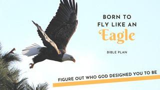 Born to Fly Like an Eagle! لوقا 17:19 کتاب مقدس، ترجمۀ معاصر