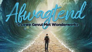 Afwagtend - 'N Lewe Gevul Met Wonderwerke JOHANNES 9:1-3 Afrikaans 1983