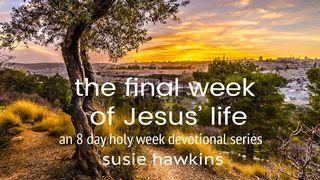 The Final Week of Jesus' Life: An 8-Day Holy Week Devotional Series Matthew 26:24 The Passion Translation