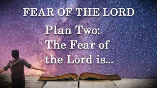 Plan Two: The Fear of the Lord Is… Psalms 147:11 New Living Translation