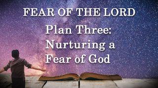 Plan Three: Nurturing a Fear of God Proverbs 29:25 The Message