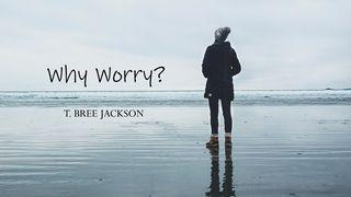 Why Worry? Psalms 34:19 New International Version