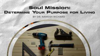 Soul Mission: Determine Your Purpose for Living Romans 5:21 New Living Translation