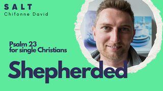 Shepherded: Psalm 23 for the Single Christian مزمور 6:27 هزارۀ نو
