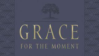 5 Days From Grace for the Moment (Note-Taking Edition) Hebrews 6:1-8 New Living Translation