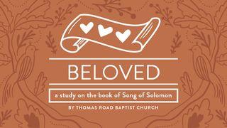 Beloved: A Study in Song of Solomon Song of Songs 4:3 New International Version
