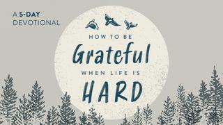 How to Be Grateful When Life Is Hard Daniel 2:17-19 New Living Translation