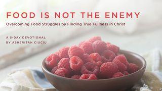 Food Is Not The Enemy: Overcoming Food Struggles Matthew 5:6 New Living Translation