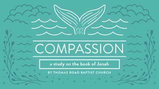 Compassion: A Study in Jonah Jonah 4:11 King James Version