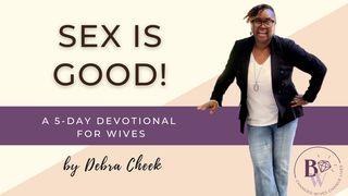 Sex Is Good a 5-Day Devotional for Wives by Debra Cheek 1 Corinthians 7:3-5 Amplified Bible, Classic Edition