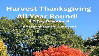 Harvest Thanksgiving All Year Round! 1 Timothy 4:4-5 New Living Translation